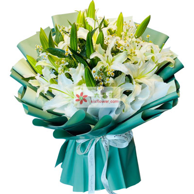 河池8支白色多头百合洋甘菊，如潮的思念
